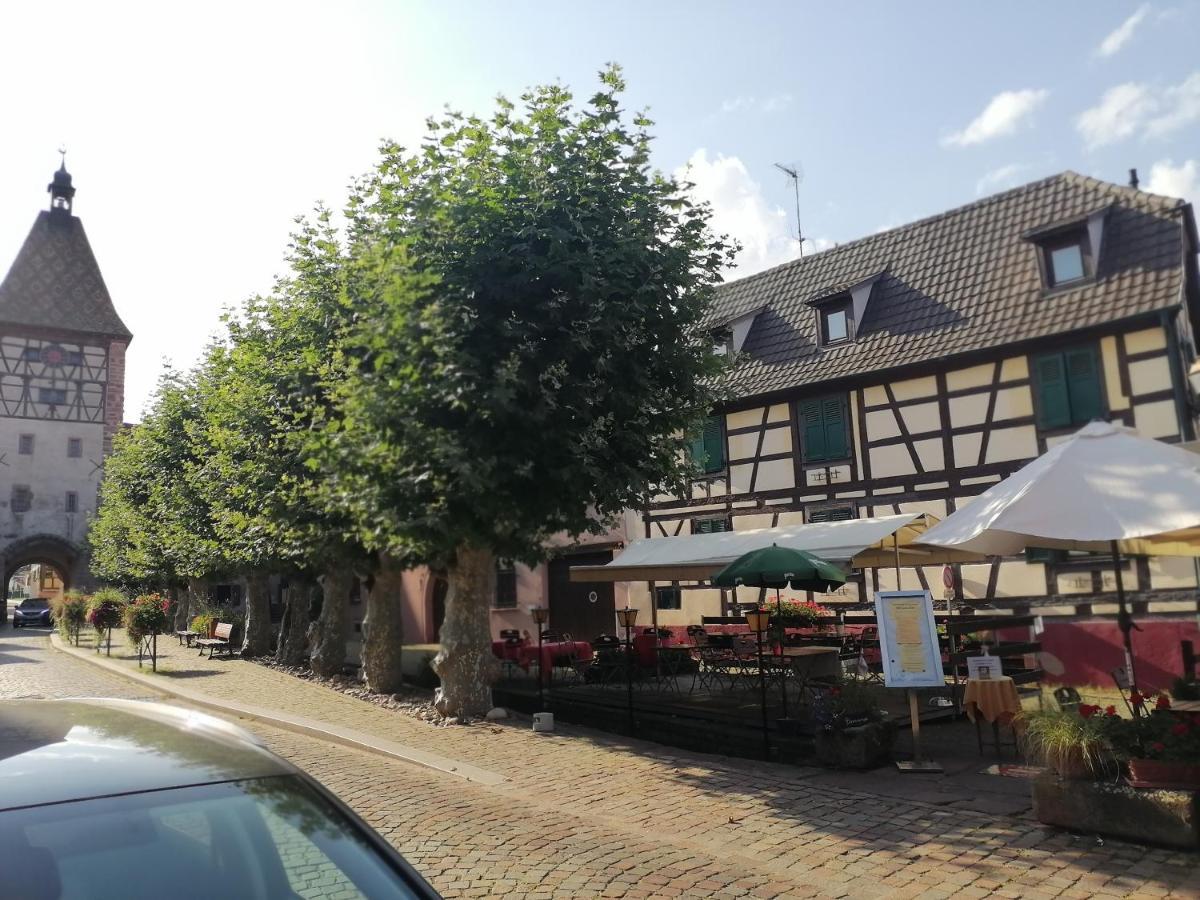 Gites Aux Fines Bulles D'Alsace Spa Privatif En Supplement Bergheim Esterno foto