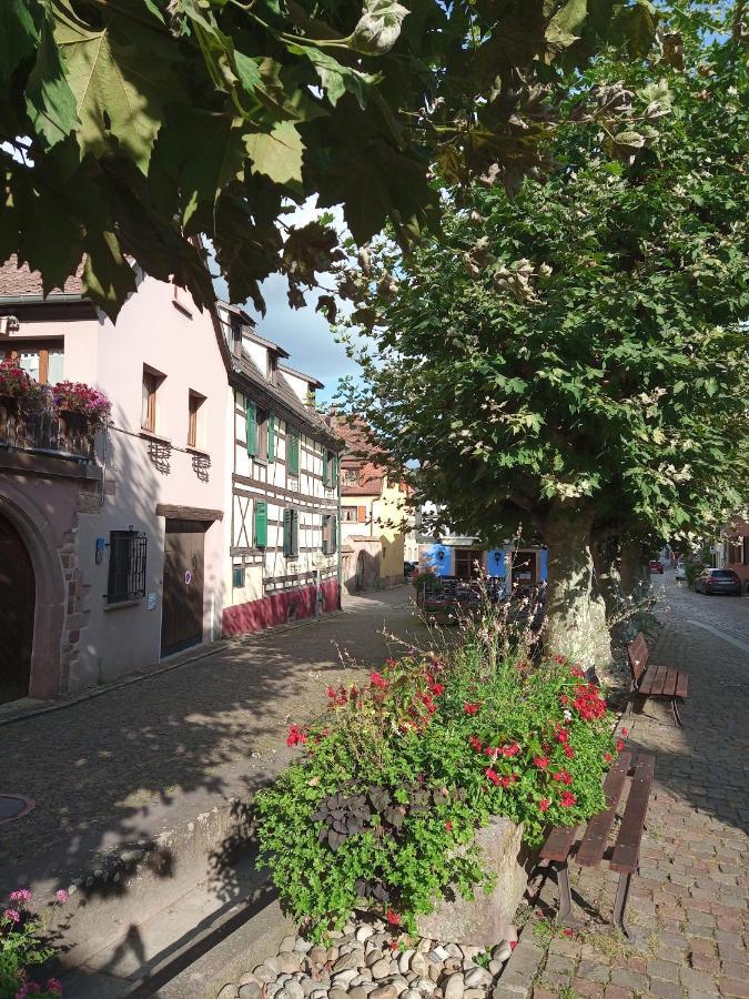 Gites Aux Fines Bulles D'Alsace Spa Privatif En Supplement Bergheim Esterno foto